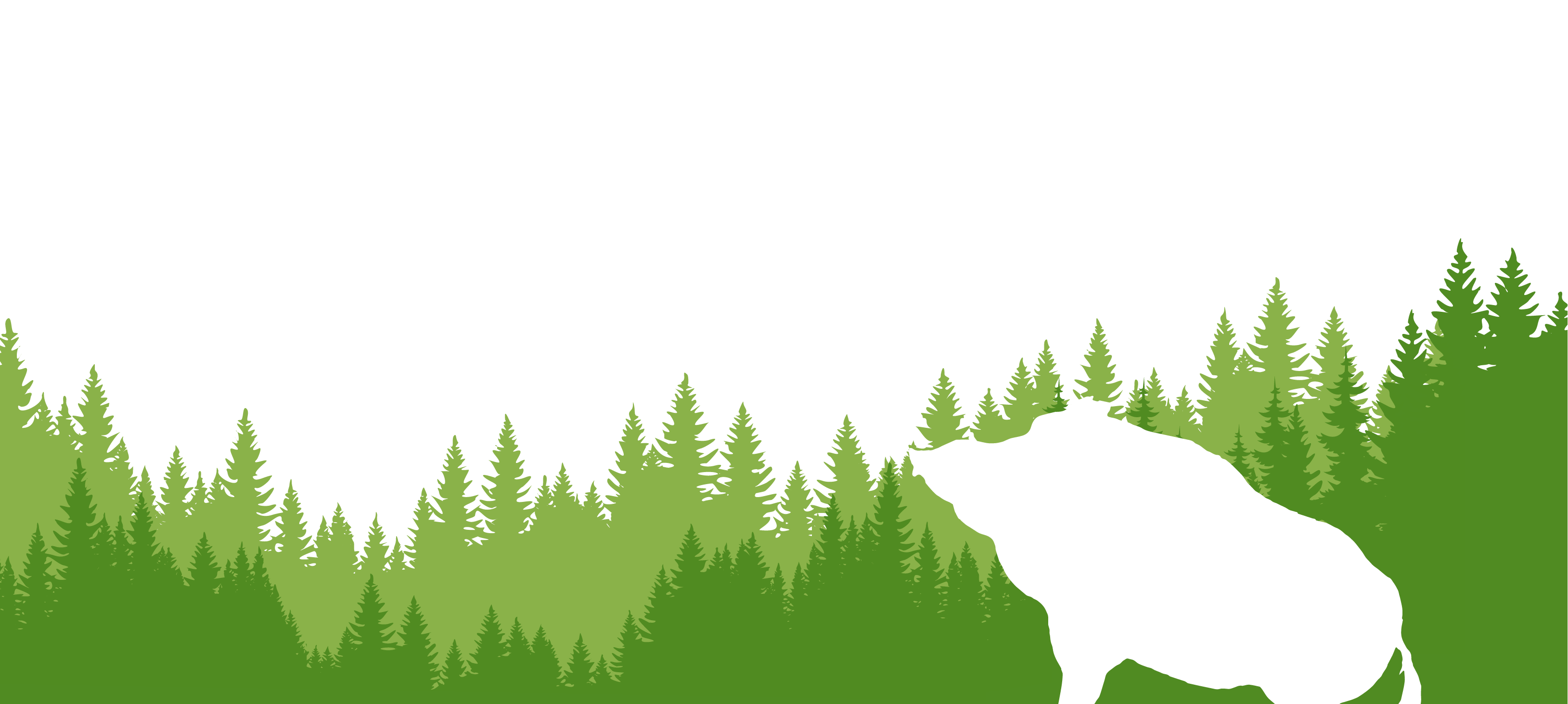 Silhouette eines Wildschweins vor einer Kulisse aus grünen Tannenbäumen auf weißem Hintergrund.