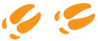 Orangefarbene Wildschweinspuren auf transparentem Hintergrund, Logo der Initiative 'Wilde Sau'.