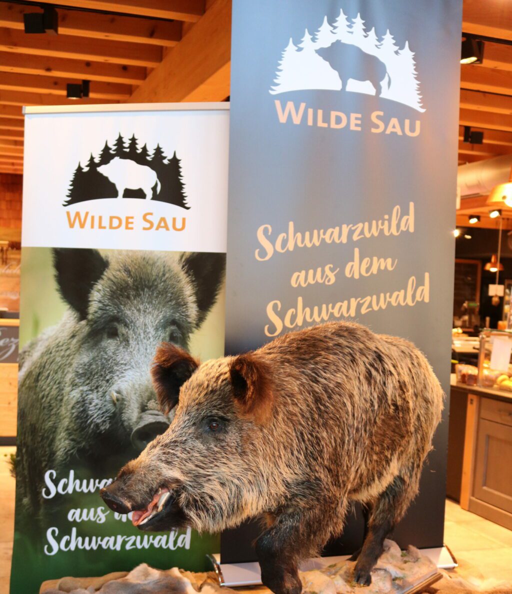Messestand mit präpariertem Wildschwein, zwei Roll-Up-Banner des Projekts „Wilde Sau“, Info- und Felle-Präsentation.