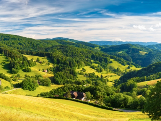 Panoramablick auf die grünen Hügel und Wälder des Schwarzwalds bei klarem Wetter mit einem Haus im Vordergrund.