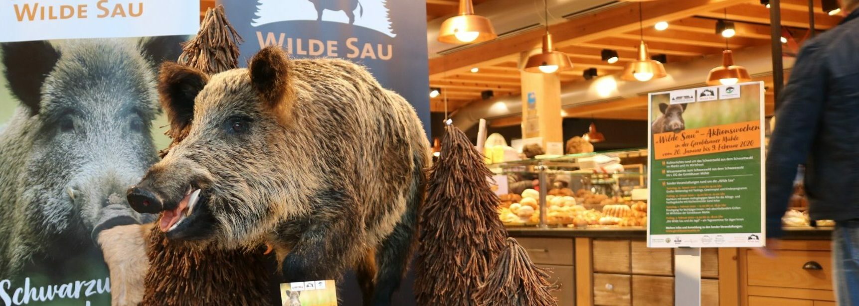 Stand des Projekts Wilde Sau mit Wildschweinmodell, Brotauslage im Hintergrund, Plakat mit Veranstaltungsinfos, Holzdeckenstruktur.