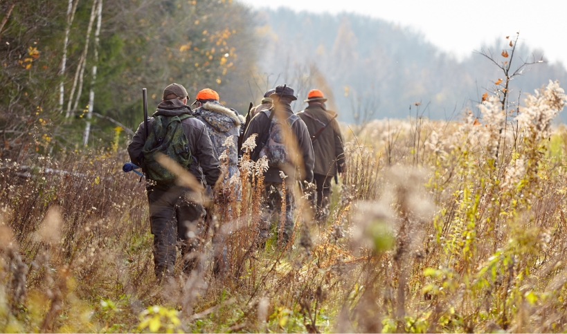 Fünf Jäger in wetterfester Kleidung im herbstlichen Wald, zwei mit orangenen Mützen, einer trägt ein Gewehr, Feldweg mit hohem Gras und Pflanzen.