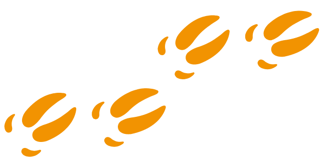 Vier orangefarbene, stilisierte Trittsiegel, die diagonal von links unten nach rechts oben verlaufen.