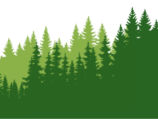 Stilisierte Illustration von Tannenwald in Grün, minimalistisch gestaltet.