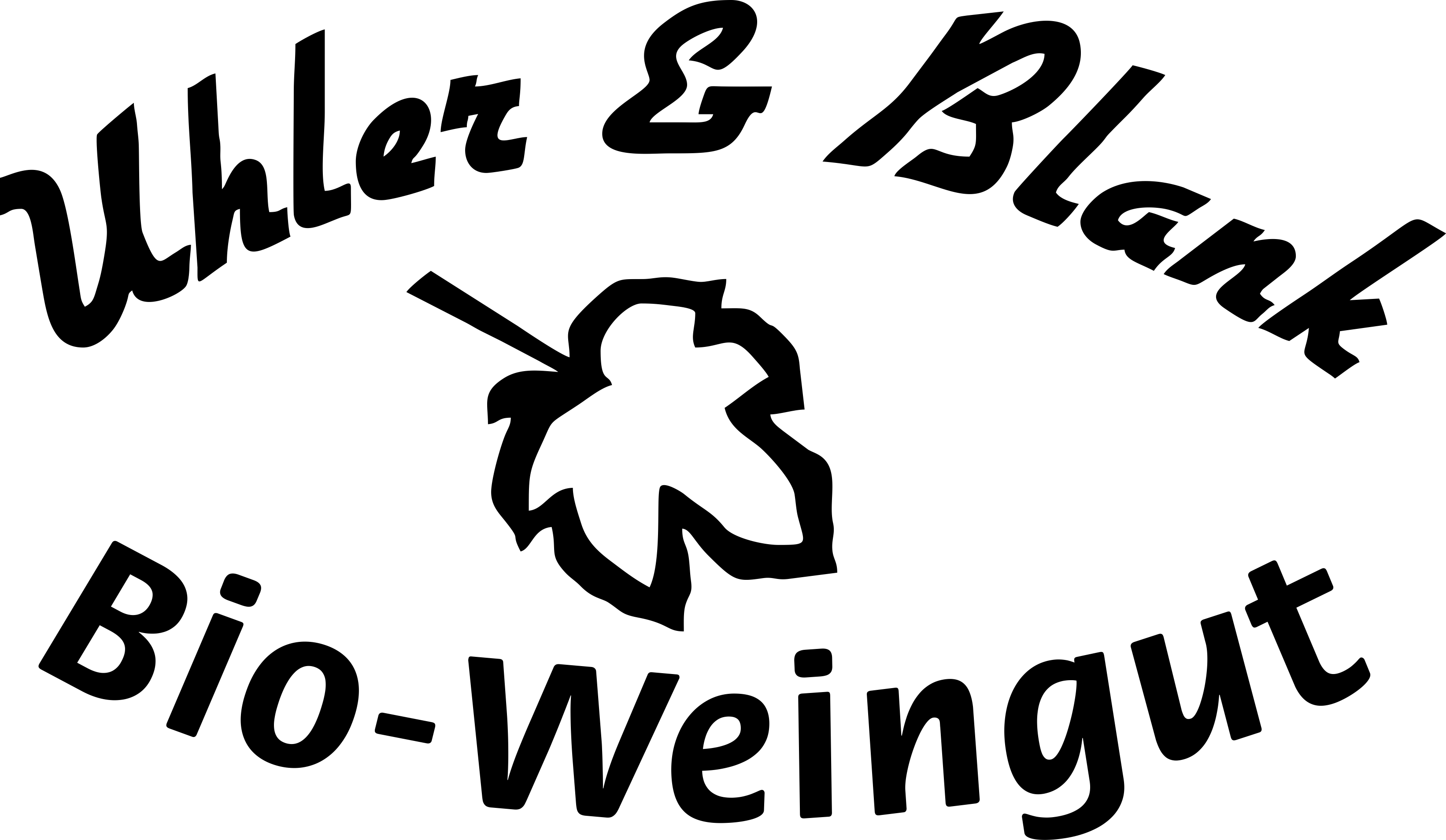 Schwarzes Logo 'Wilde Sau' mit stilisiertem Wildschwein-Kopf und Schriftzug.